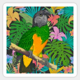 Senegal Parrot Tropical Design Sticker